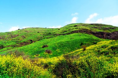 Aşağı Celile 'de İlkbahar.