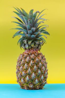 Sarı arka planda tropik bir ananas meyvesi.