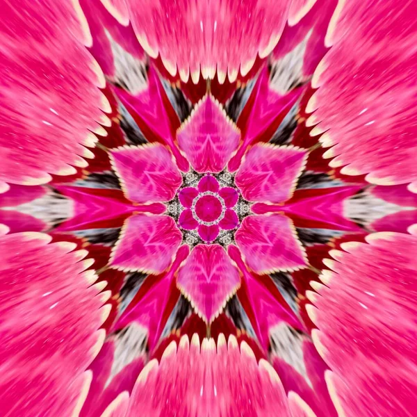Abstract symmetrical pattern of pink Indonesian batik, batik pattern, Image with mirror effect, Kaleidoscope of abstract pattern.
