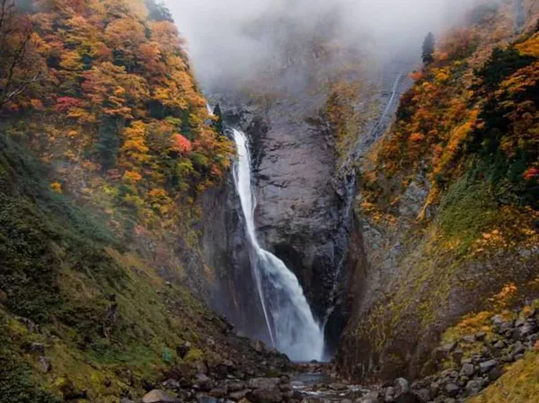 Vista Árvore Cachoeira Shomyo Tateyama Japão — Fotografia de Stock