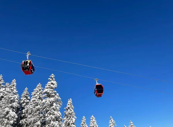 Rode kabelbaan en besneeuwde dennenbomen tegen de blauwe lucht in de winter skigebied Golm, Montafon, Oostenrijk. — Stockfoto