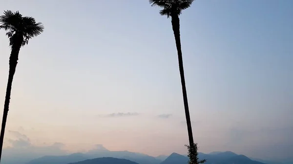 Vue en angle bas des palmiers au coucher du soleil avec des silhouettes de montagnes en arrière-plan. Espace de copie. — Photo