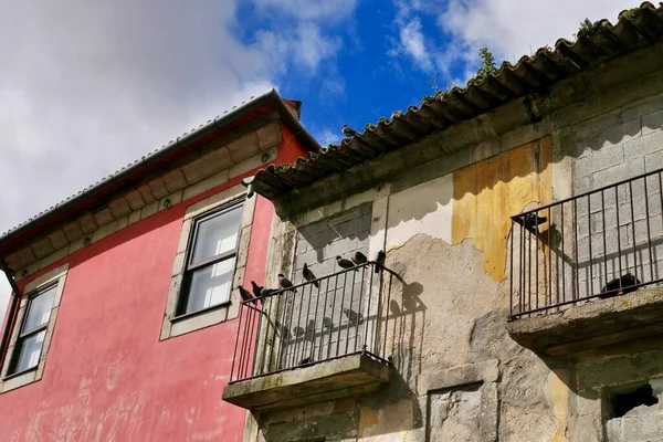 Kleurrijke gevels in het oude centrum van Porto, zwarte vogels zittend op balkonreling. Griekenland — Stockfoto