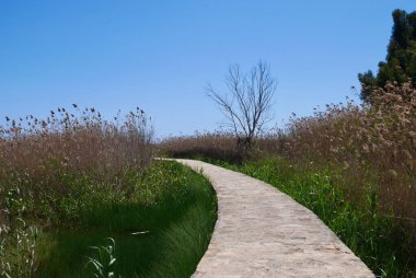 Riserva Doğal Oasis Faunistica di Vendicari, Sicilya Bölgesi, İtalya 'daki bataklıktan geçen taş yol..