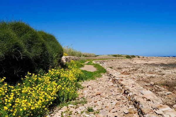 Sentiero costiero con tipico muro a secco nella Riserva Naturale Oasi Faunistica di Vendicari, provincia di Siracusa, Sicilia. — Foto Stock