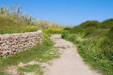 Riserva Naturale Oasi Faunistica di Vendicari, Syracuse, Sicilya, İtalya 'da tipik kuru taş duvarlı sahil yolu..