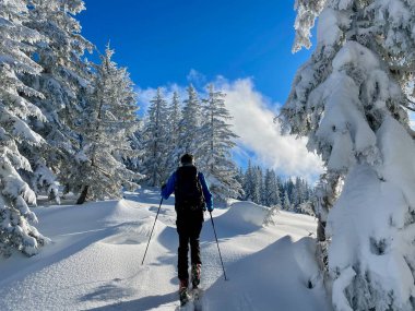 Karla kaplı huzurlu bir kış manzarasında kayak turu. Vorarlberg, Avusturya.