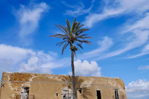 Régi omladozó téglaépület pálmafával és kék égbolttal Szicília vidékén, Olaszországban. — Stock Fotó