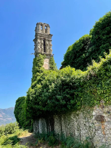 Ruins of church of old Franciscan monastery Orezza, convent dorezza, in Piedicroce, Castagniccia, Corsica. Vertical. — Stock Photo, Image