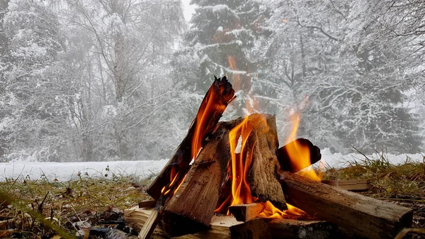 Lagerfeuer im kalten Winter mit schneebedeckten Bäumen im Hintergrund. — Stockfoto