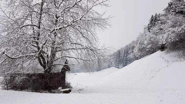 Cabaña de montaña tradicional de madera en un hermoso paisaje invernal profundamente cubierto de nieve. Vorarlberg, Austria. —  Fotos de Stock
