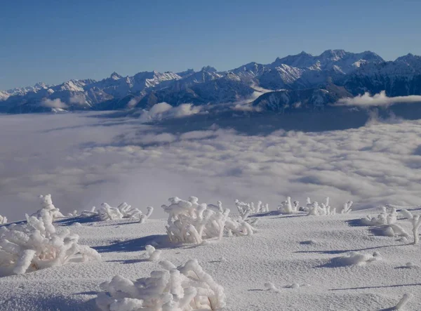 Avusturya Alpleri ile donmuş bitkiler, Hoher Kasten teleferiğinin dağ istasyonundan görüldü. Alpstein, Appenzell, İsviçre. — Stok fotoğraf
