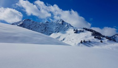 Avusturya Alpleri 'nin ılıman kış manzarası. Walsertal, Vorarlberg, Avusturya.
