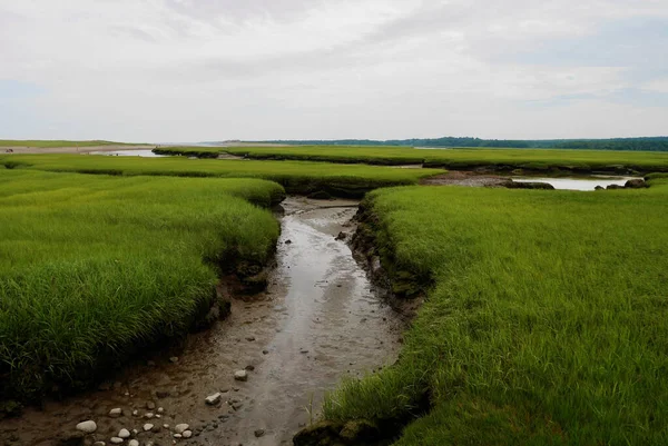 Sandwich Boardwalk 'tan manzara, küçük dere ve bataklık.