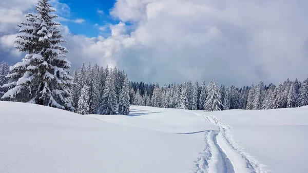 오스트리아 알프스 산맥의 겨울 풍경에 눈이 내리는 길이다. 보야르 베르크, 오스트리아. — 스톡 사진