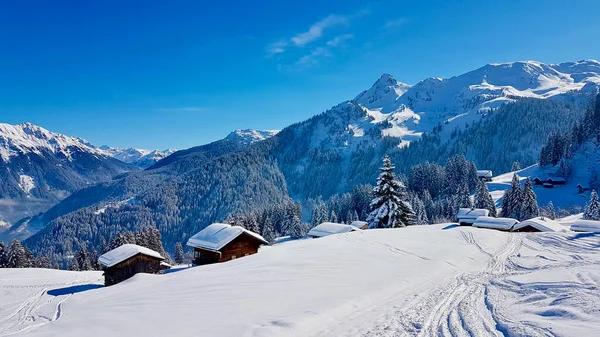 전통적 인 나무 오두막집들은 화창 한 겨울에 지어 졌습니다. 보야르 베르크, 오스트리아. — 스톡 사진