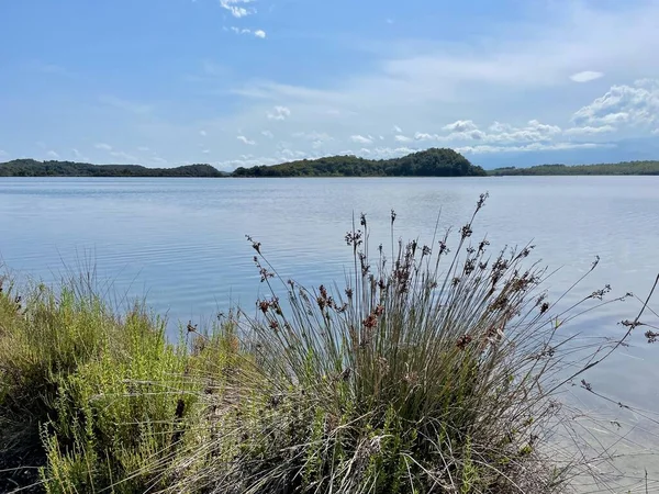 Prachtige natuur aan het zoutmeer Etang de Diana. Aleria, Corsica, Frankrijk. — Stockfoto