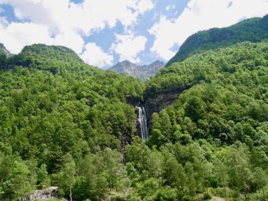 Verzasca Vadisi 'ndeki şelale, Ticino, yemyeşil bir arazide. İsviçre.