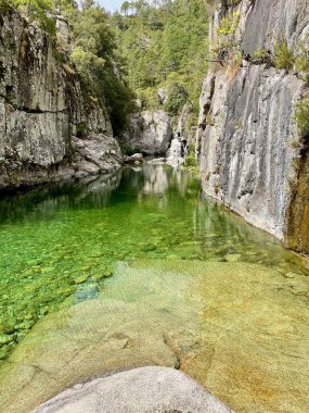 Corte yakınlarında Tavignano nehrinde yüzmek için zümrüt yeşili suyu olan derin bir havuz. Korsika, Fransa.