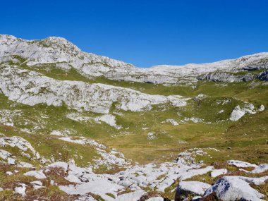 Praettigau, Graubuenden, İsviçre 'deki kayalık arazide yürüyüş yolu.