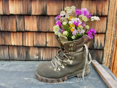Avusturya Alplerindeki kiremitli dağ kulübesinin önünde renkli çayır çiçekleriyle dolu eski deri yürüyüş botu..