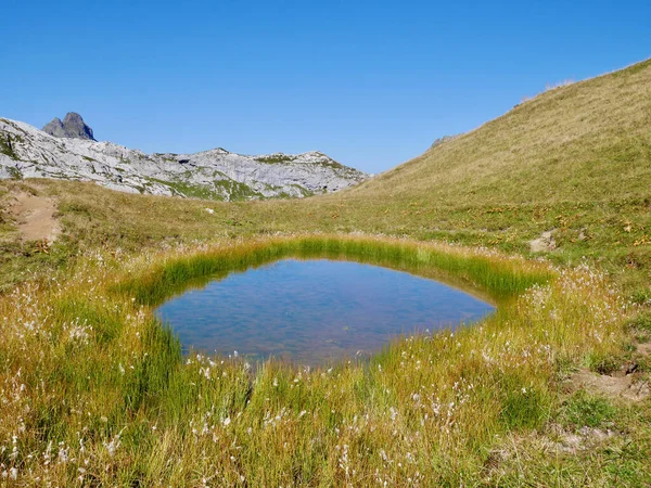 Pond in alpine landscape in Praettigau, Graubuenden, Switzerland. — Stock fotografie