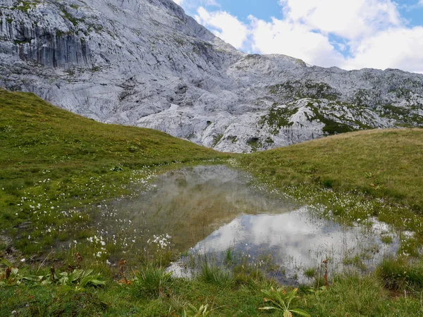 Reflection of Scheienfluh in pond. Swiss Alps in Praettigau, Graubuenden. — Fotografia de Stock