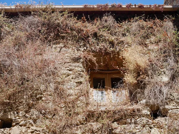 完全にラマ、夢のような丘の上の町の山に囲まれた家のファサードが生い茂った。コルシカ島,フランス. — ストック写真