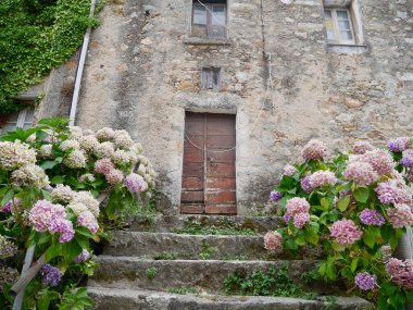 Vivario, Corsica, Fransa 'da geleneksel taş ev.