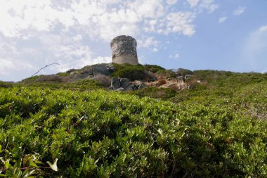 Iles Sanguinaires 'teki Ceneviz Parata Kulesi. Ajaccio, Korsika, Fransa' ya yakın bir arşiv. Yüksek kalite fotoğraf
