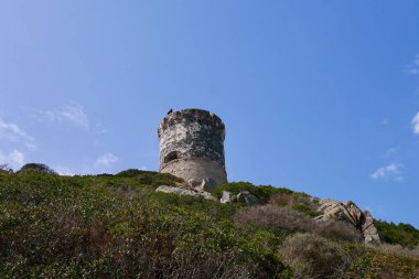 Torra di a Parata 'nın panoramik görüntüsü, Iles Sanguinaires' teki Ceneviz kulesi, Ajaccio, Korsika, Fransa 'ya yakın arşiv. Yüksek kalite fotoğraf