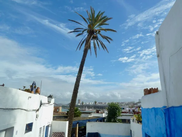 Panorámás Kilátás Eladó Szomszédos Város Rabat Híres Kék Épületek Marokkó — Stock Fotó