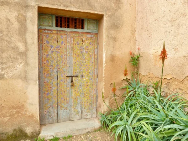 カラフルな木製のドアと茶色の壁に対して多肉植物を開花ヤード。モロッコのラバト. — ストック写真