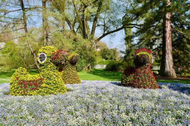 Mainau Adası, Constance Gölü, Almanya 'daki renkli çiçeklerden ördek figürleri. Yüksek kalite fotoğraf