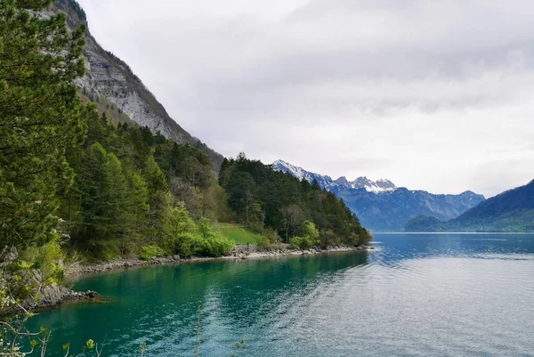 Vandringsled Längs Sjön Walen Gallen Schweiz Högkvalitativt Foto — Stockfoto