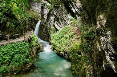 Thurfaelle, Thur şelalesi, Toggenburg 'da. St. Gallen, İsviçre. Yüksek kalite fotoğraf
