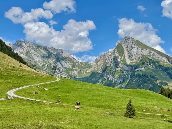 Górska Droga Alpach Szwajcarskich Tle Pasmo Alpstein Toggenburg Gallen Szwajcaria — Zdjęcie stockowe