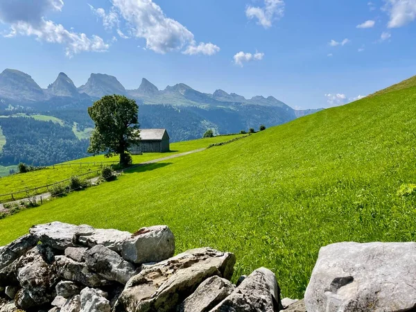 Alpy Szwajcarskie Toggenburgu Widok Panoramiczny Churfirsten Gallen Szwajcaria Wysokiej Jakości — Zdjęcie stockowe