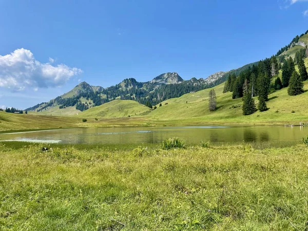 トッゲンブルクの高山湖Graeppelensee スイスのサン ガレン 高品質の写真 — ストック写真