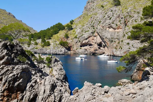 Panoramic View Port Calobra Majorca Spain High Quality Photo — Stock Photo, Image
