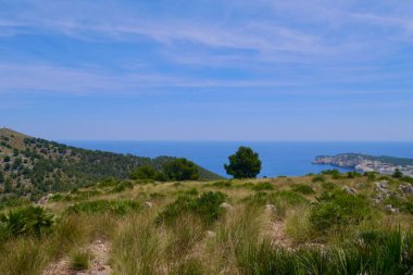 Cala Agulla ve Cala Mesquida arasındaki iç bölgede yürüyüş. Mayorka, İspanya. Yüksek kalite fotoğraf