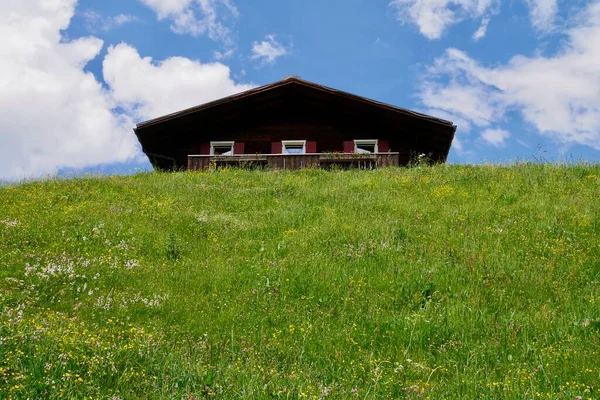 Cute Alpine Mountain Hut Flower Meadow Blue Sky Austrian Alps — ストック写真