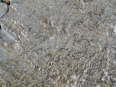 Küçük bir çatlakla beyaz alçı cephesini kapatın..