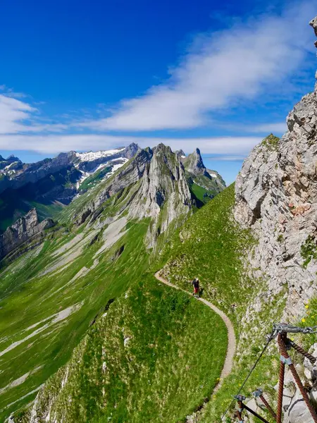 Wanderweg Durch Schäfler Und Altenalptuerme Alpsteinmassiv Appenzell Schweiz Hochwertiges Foto — Stockfoto