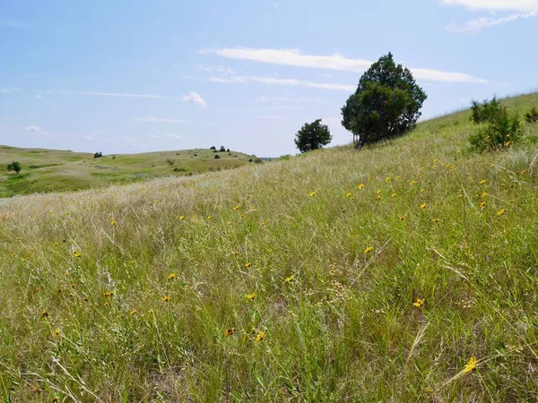 Praterie Nel Parco Nazionale Theodore Roosevelt Dakota Del Nord Stati — Foto Stock