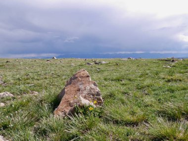Wyoming, Beartooth Geçidi 'ndeki manzara. ABD. Yüksek kalite fotoğraf