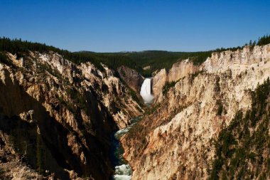 Yellowstone Ulusal Parkı 'ndaki Lower Yellowstone Falls, Wyoming, ABD. Yüksek kalite fotoğraf