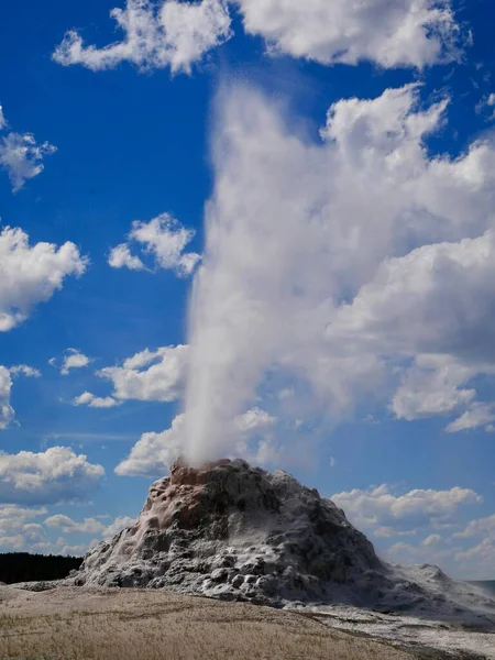 Eruzione White Dome Geyser Nel Parco Nazionale Yellowstone Wyoming Usa — Foto Stock