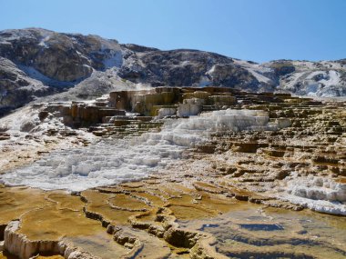Wyoming 'deki Yellowstone Ulusal Parkı' nda Mamut Kaplıcasının Baharı. Yüksek kalite fotoğraf