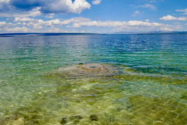 Lake Shore Geiser Yellowstone National Park Wyoming Verenigde Staten Hoge — Stockfoto